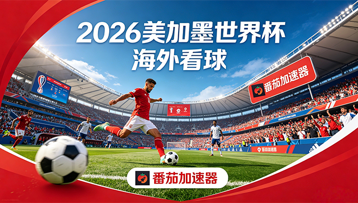 12123app在国外为啥登录不上教程