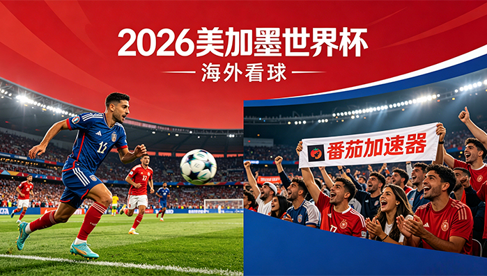 为什么12123在国外打不开教程