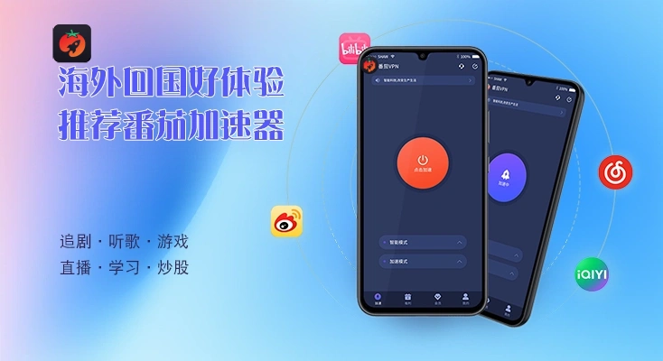 回国vpn下载教程